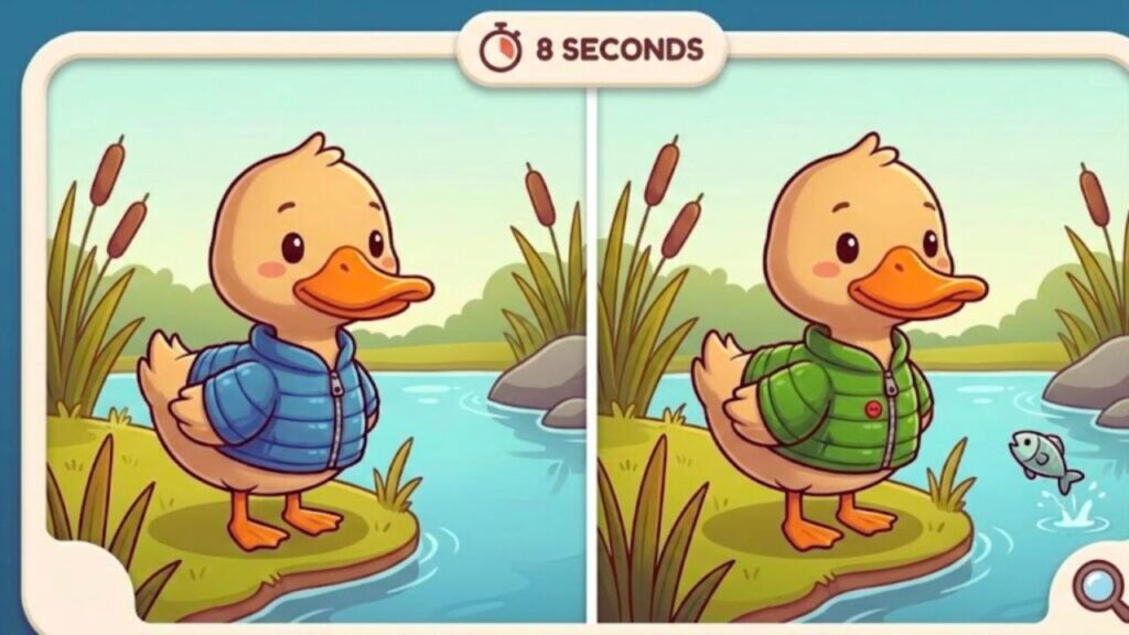 8-Second Visual Challenge