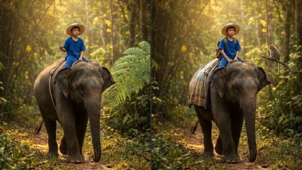 Spot the Difference Puzzle