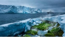 Melting Antarctic Ice Did the Opposite of What Scientists Expected