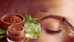 Create a Natural Eyebrow Gel at Home Using Aloe and Cocoa for Soft All-Day Hold