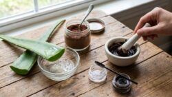 Make Your Own Natural Eyebrow Gel Using Aloe Vera Gel and Cocoa Powder