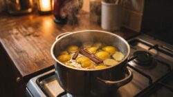 Boiling Lemon Peel Cinnamon and Ginger Explained Why This Winter Ritual Persists